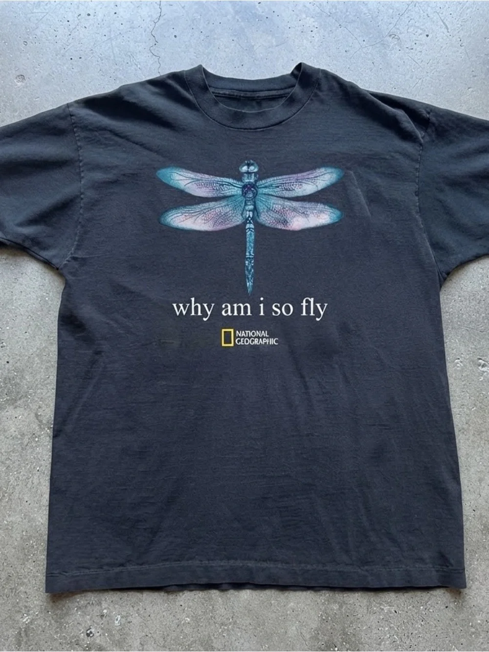 National Geographic Men’s Black Tee with Blue‑Teal Dragonfly Graphic
